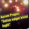 Обкладинка Aurum Project - Seitse Valget Kivist Inglit Aurum Project - Seitse Valget Kivist Inglit
