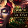 Pura Vida & Ayawaska - Ooda