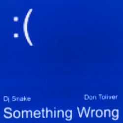 Обкладинка DJ Snake & Don Toliver - Something Wrong