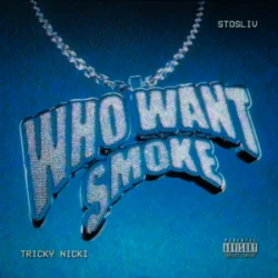 Обкладинка Tricky Nicki & STOSLIV - Who Want Smoke?