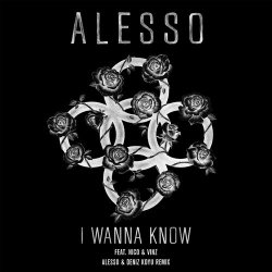 Обкладинка Alesso feat. Nico & Vinz - I Wanna Know (Alesso & Deniz Koyu Remix)