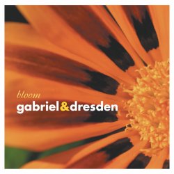 Обкладинка Gabriel & Dresden - Lament