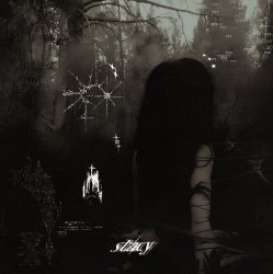 Обкладинка Dj Anemia, Crier - Stacy