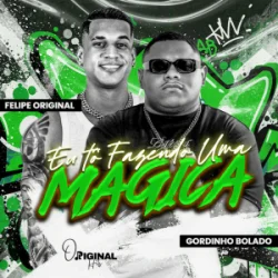 Обкладинка Gordinho Bolado & felipe original - Eu Tô Fazendo uma Mágica