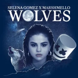 Обкладинка Selena Gomez & Marshmello - Wolves (TCM Hardstyle Remix)