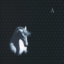Обкладинка Аквариум - Господу Видней
