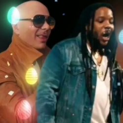 Обкладинка Pitbull feat. Stephen Marley - Options