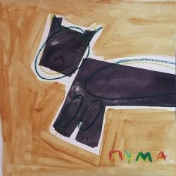 Обкладинка 4 Азиатки - Пума