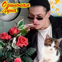 Обкладинка ЮГ 404 - Одинокая луна