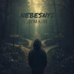 Обкладинка Nebesnyi - ДУМАЛИ