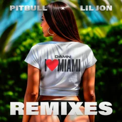 Обкладинка Pitbull & Lil Jon - Damn I Love Miami (Apollo XO Remix)