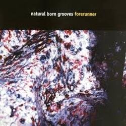 Обкладинка Natural Born Grooves - Forerunner (Future Breeze Mix)
