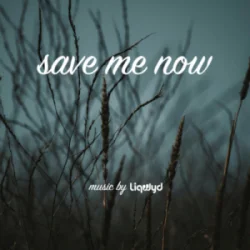 Обкладинка LiQWYD - Save me now