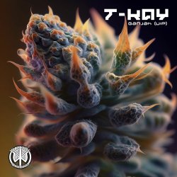 Обкладинка T-Kay - Ganjah VIP (Original Mix)
