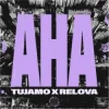 Cover Tujamo & Relova - Aha Tujamo & Relova - Aha