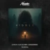 Обкладинка D.HASH & ILYA SECHKIN & BORDERMIND - The Riddle D.HASH & ILYA SECHKIN & BORDERMIND - The Riddle