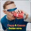 Пчела & Ksenon - Белая ночь