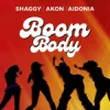 Обкладинка Shaggy & Akon & Aidonia - Boom Body Shaggy & Akon & Aidonia - Boom Body