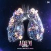 Cover Mark With A K feat. Jelle van Dael & Madoc - Adem Mark With A K feat. Jelle van Dael & Madoc - Adem