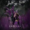 Обкладинка Шалих - Лаванда Шалих - Лаванда