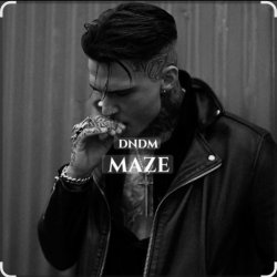 Обкладинка DNDM - Maze