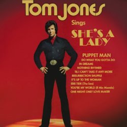 Обкладинка Tom Jones - She's A Lady