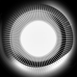 Обкладинка Disclosure - Moonlight