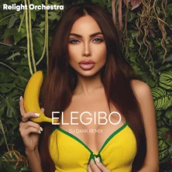 Обкладинка Relight Orchestra - Elegibo (Dj Dark Remix)