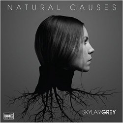 Обкладинка Skylar Grey - Jump