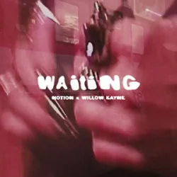Обкладинка NOTION & Willow Kayne - WAITING