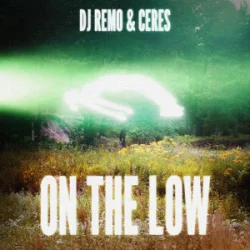 Обкладинка Dj Remo & CERES - On The Low