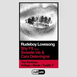 Обкладинка Shy FX feat. Sweetie Irie and Cara Delevingne - Shy FX (Remixes)