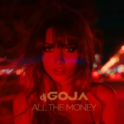 Обкладинка Dj Goja - All The Money