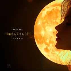 Обкладинка Bahh Tee & Эллаи - Разливает