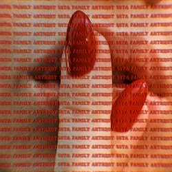 Обкладинка 5sta Family - Антидот