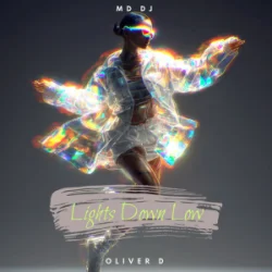 Обкладинка MD Dj & Oliver D - Lights Down Low