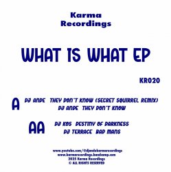 Обкладинка DJ Ande & DJ KOS & DJ Terrace - They Don't Know (Secret Squirrel Remix)