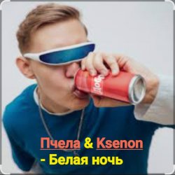 Обкладинка Пчела & Ksenon - Белая ночь