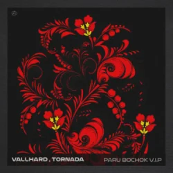 Обкладинка Vallhard & Tornada - Paru Bochok V.I.P