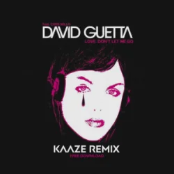 Обкладинка David Guetta & Chris Willis - Love Don't Let Me Go (KAAZE Remix)