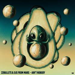 Обкладинка 22Bullets & DJs From Mars - Ain't Nobody
