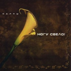 Обкладинка Ногу свело! - Ave Maria