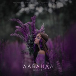 Обкладинка Шалих - Лаванда