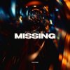 D&S & Danna Max - Missing
