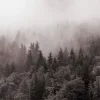Обкладинка Y.K. Music - У Тумані Y.K. Music - У Тумані