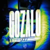 Cover Ariis - Gozalo (Super Slowed) Ariis - Gozalo (Super Slowed)
