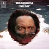 Обкладинка Thundercat - Friend Zone Thundercat - Friend Zone
