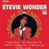 Обкладинка Stevie Wonder - Ave Maria Stevie Wonder - Ave Maria