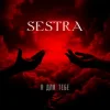 Обкладинка SESTRA - Я для тебе SESTRA - Я для тебе