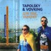 Cover DJ Tapolsky & VovKING feat. Gloria - Get In To My Skype DJ Tapolsky & VovKING feat. Gloria - Get In To My Skype